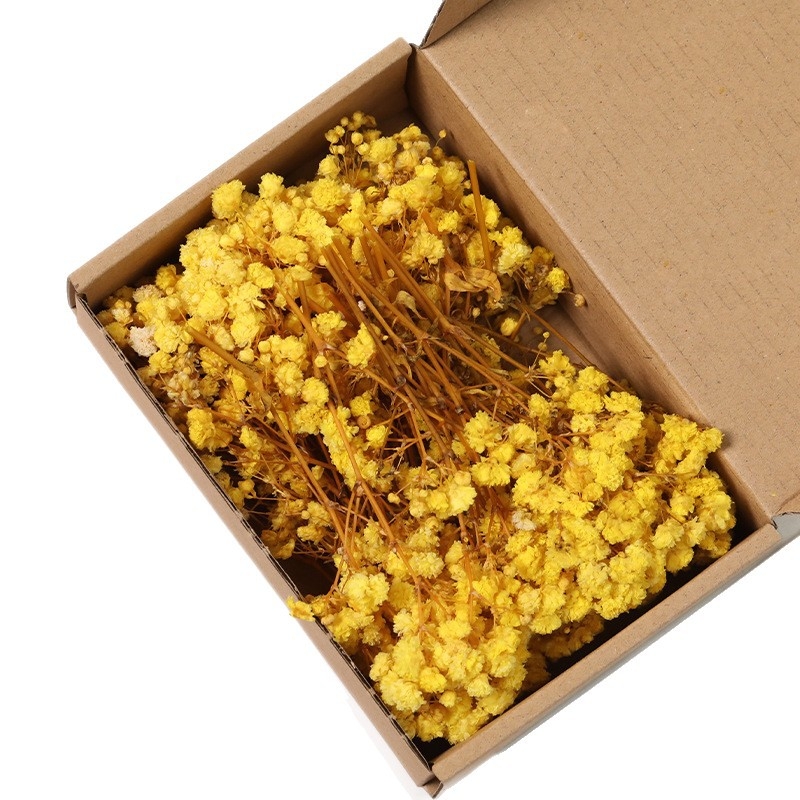 Lill – Starry Sky kuivatatud gypsophila, värvitud, DIY lillekimp komplekt karbis