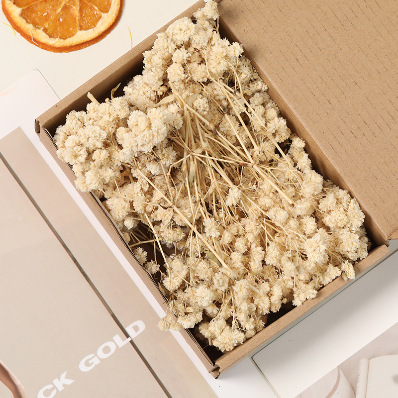 Lill – Starry Sky kuivatatud gypsophila, värvitud, DIY lillekimp komplekt karbis