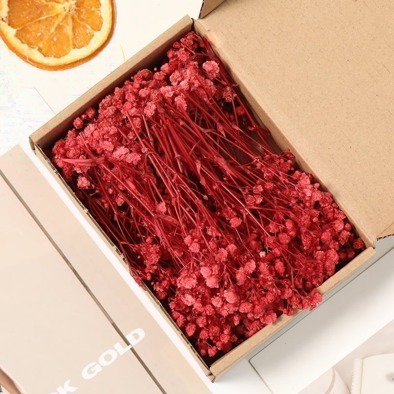 Lill – Starry Sky kuivatatud gypsophila, värvitud, DIY lillekimp komplekt karbis