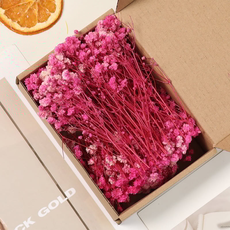 Lill – Starry Sky kuivatatud gypsophila, värvitud, DIY lillekimp komplekt karbis