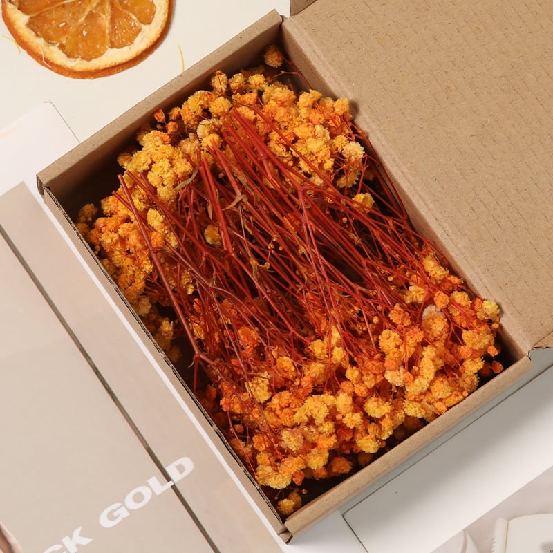 Lill – Starry Sky kuivatatud gypsophila, värvitud, DIY lillekimp komplekt karbis