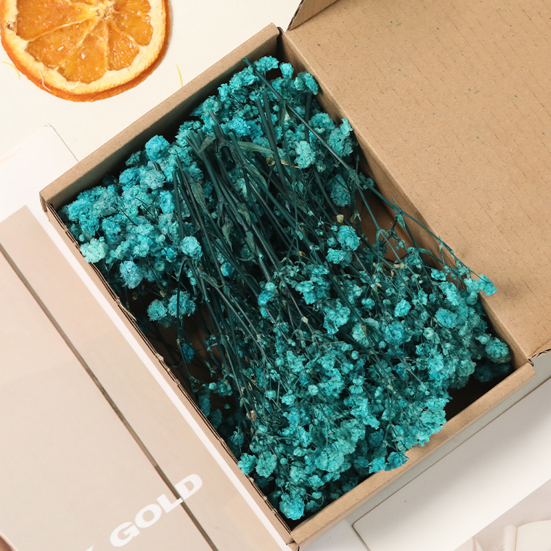 Lill – Starry Sky kuivatatud gypsophila, värvitud, DIY lillekimp komplekt karbis