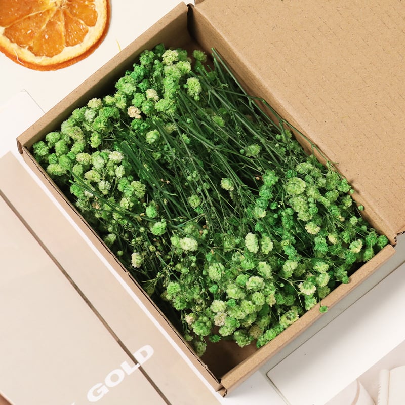 Lill – Starry Sky kuivatatud gypsophila, värvitud, DIY lillekimp komplekt karbis