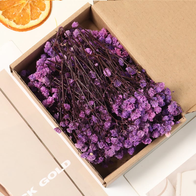 Lill – Starry Sky kuivatatud gypsophila, värvitud, DIY lillekimp komplekt karbis