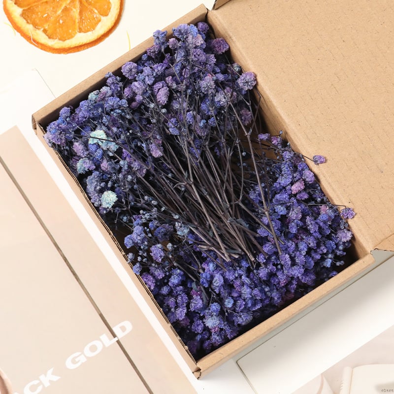 Lill – Starry Sky kuivatatud gypsophila, värvitud, DIY lillekimp komplekt karbis