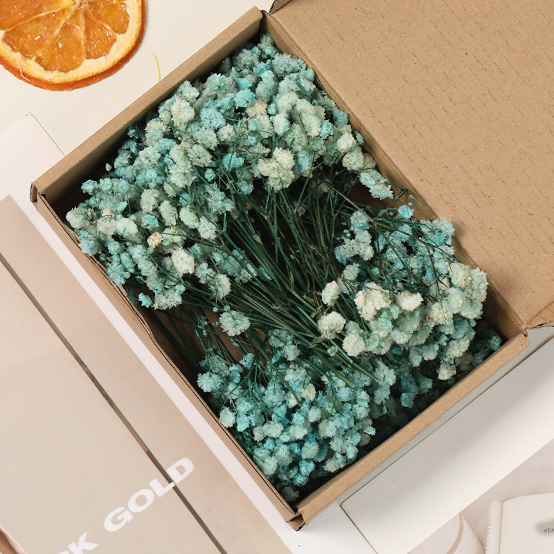 Lill – Starry Sky kuivatatud gypsophila, värvitud, DIY lillekimp komplekt karbis