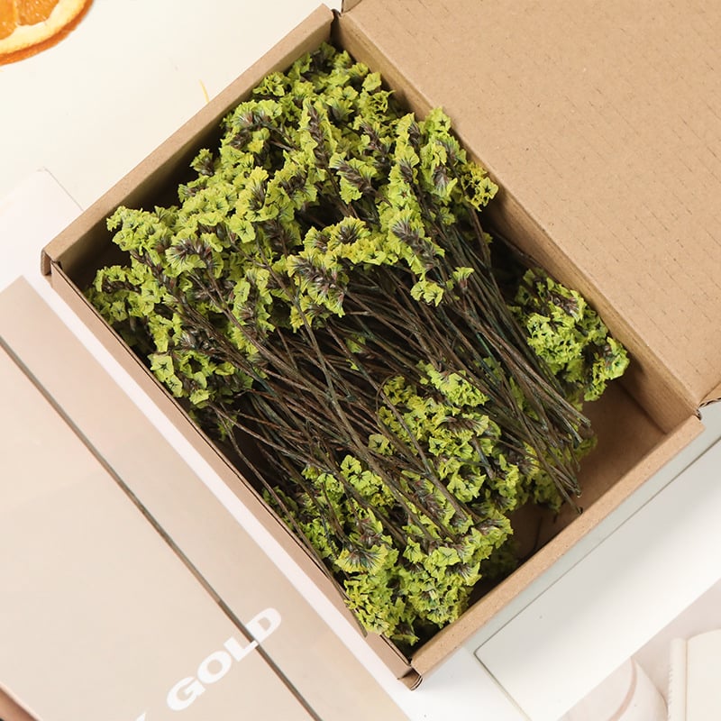 Lill – Starry Sky kuivatatud gypsophila, värvitud, DIY lillekimp komplekt karbis