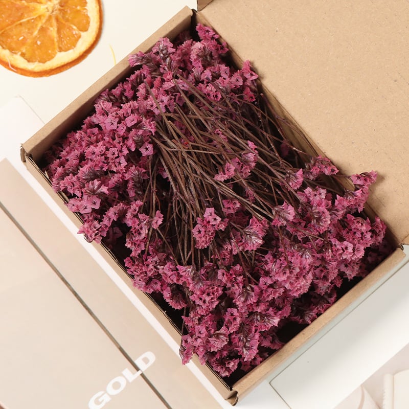 Lill – Starry Sky kuivatatud gypsophila, värvitud, DIY lillekimp komplekt karbis