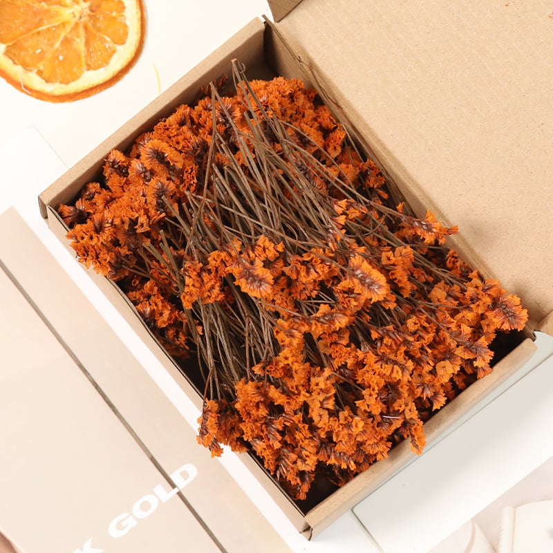 Lill – Starry Sky kuivatatud gypsophila, värvitud, DIY lillekimp komplekt karbis