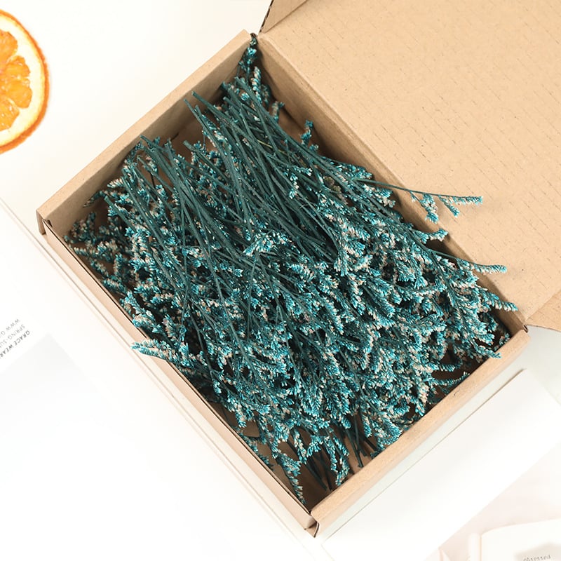 Lill – Starry Sky kuivatatud gypsophila, värvitud, DIY lillekimp komplekt karbis