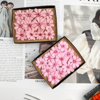 Kuivatatud Gerbera bukett – 12 varsi karbis; kinkeks sobiv paaridele, klassikaaslastele, mentoritele; tähtpäevad: pulmad, sünnipäev, üritused.