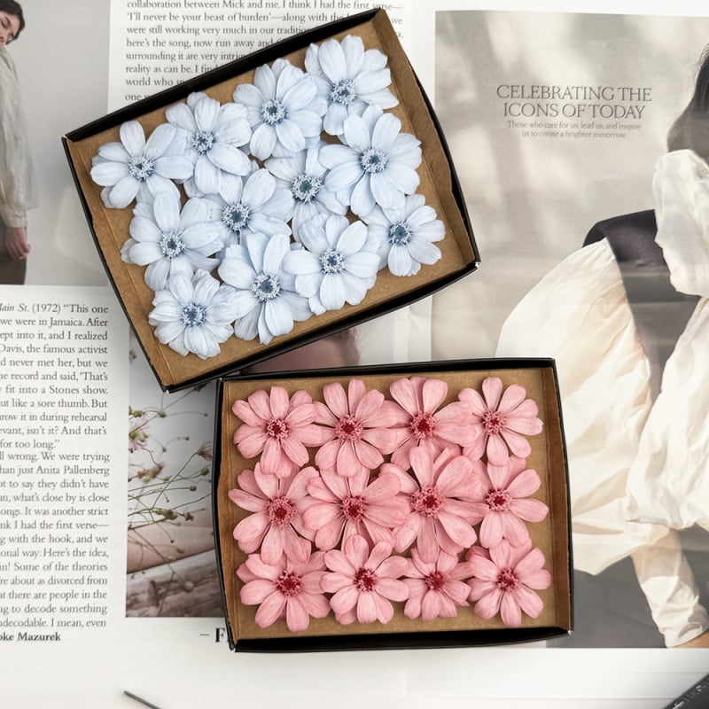 Kuivatatud Gerbera bukett – 12 varsi karbis; kinkeks sobiv paaridele, klassikaaslastele, mentoritele; tähtpäevad: pulmad, sünnipäev, üritused.