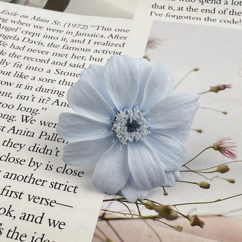 Kuivatatud Gerbera bukett – 12 varsi karbis; kinkeks sobiv paaridele, klassikaaslastele, mentoritele; tähtpäevad: pulmad, sünnipäev, üritused.