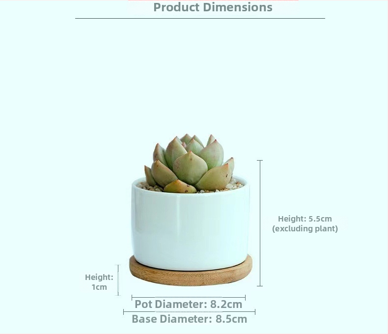 Keramička saksija za cvijeće s plavim i bijelim japanskim stilom, bijelom porcelanskom bazom i pladnjem, kombinirani set za stolno ili podno korištenje