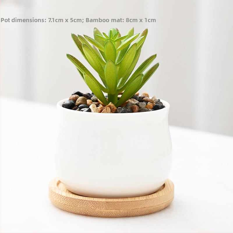 Keramička saksija za cvijeće s plavim i bijelim japanskim stilom, bijelom porcelanskom bazom i pladnjem, kombinirani set za stolno ili podno korištenje