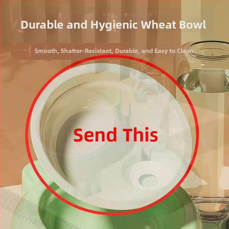 Διπλά μπολ από ανοξείδωτο χάλυβα για γάτες, φαγητό και νερό