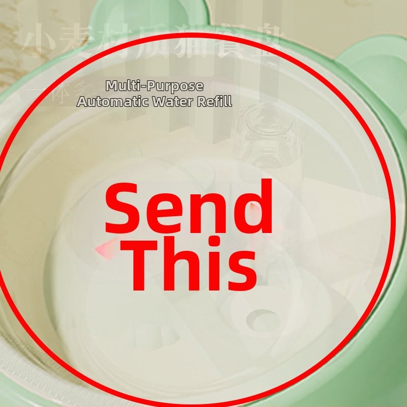 Διπλά μπολ από ανοξείδωτο χάλυβα για γάτες, φαγητό και νερό