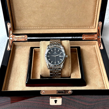 Pablo Raez muški kvarcni sat, kućište i remen od nehrđajućeg čelika, kalendar, vodootpornost 30M, prilagodljiv