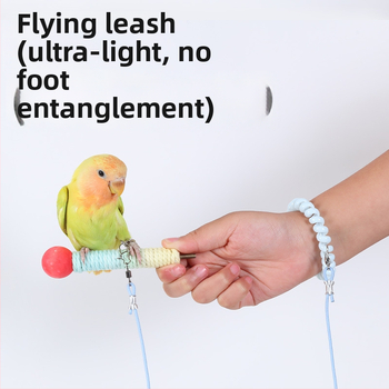 Papagai lidošanas apmācību virve – ultraliega, no elastīgā pavediens ar pēdas gredenu, pēdas ķēdi un kakla komplektu