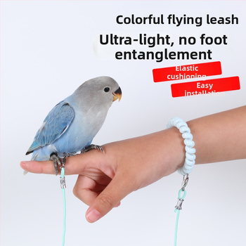Papagai lidošanas apmācību virve – ultraliega, no elastīgā pavediens ar pēdas gredenu, pēdas ķēdi un kakla komplektu