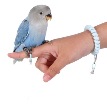 Papagai lidošanas apmācību virve – ultraliega, no elastīgā pavediens ar pēdas gredenu, pēdas ķēdi un kakla komplektu