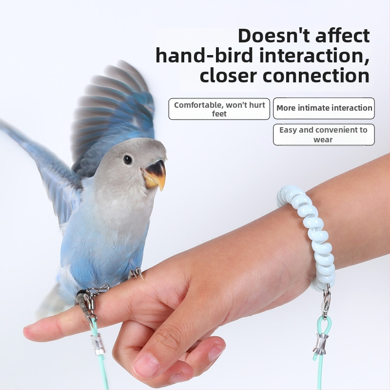 Papagai lidošanas apmācību virve – ultraliega, no elastīgā pavediens ar pēdas gredenu, pēdas ķēdi un kakla komplektu