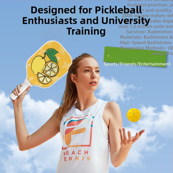 Raketa za pickleball za pojedinačni trening — profesionalna, sve-u-jednom, za trening na otvorenom, prijenosna i izdržljiva