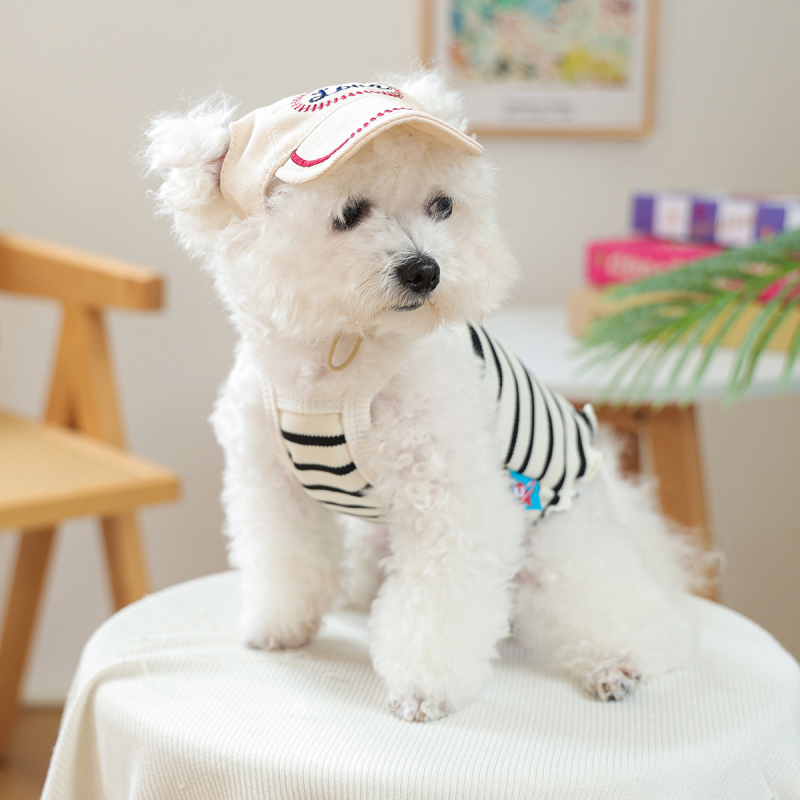 Shuangxiang poliesterio beisbolo skrybelė šunims ir katėms, saulės apsauga, raidžių raštas, siuvinėjimas, plokščias mezginys