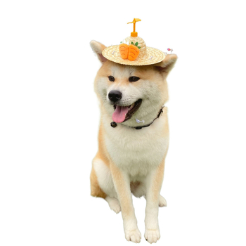 Rotacinė augintinio skrybėlė iš žolės su bambuko drugio motyvu, skirta šunims ir katėms - medžiaga: šilko gėlė, rudens sezonas, universalus naudojimas, raštas 69850