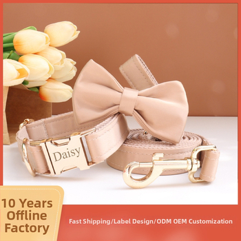 Каишка за кучета с панделка и повод — гравирана, против загуба, регулируема, полиестер, монохромен модел