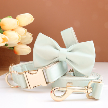 Каишка за кучета с панделка и повод — гравирана, против загуба, регулируема, полиестер, монохромен модел