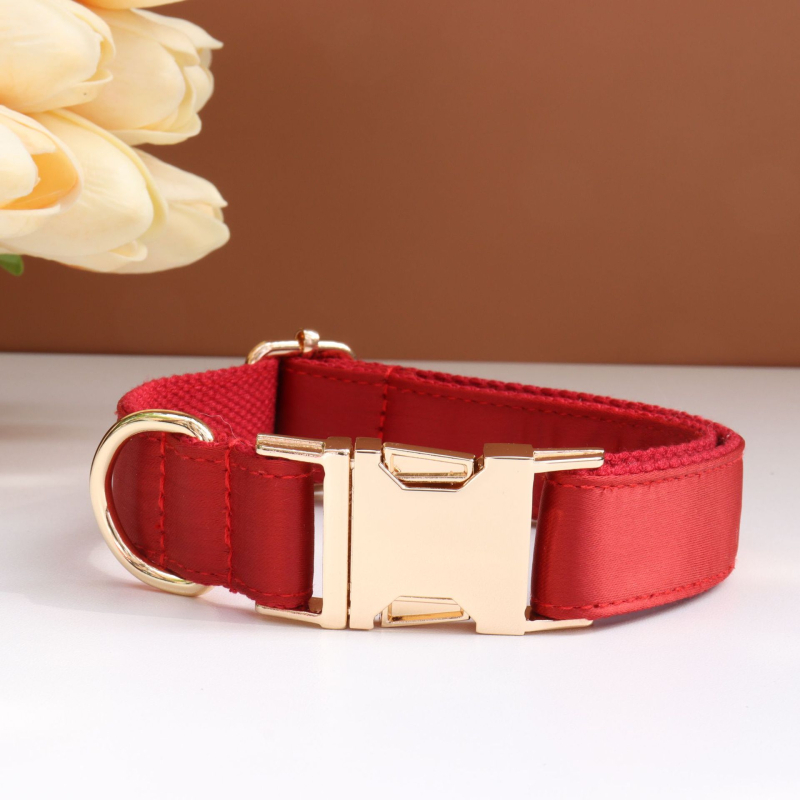 Каишка за кучета с панделка и повод — гравирана, против загуба, регулируема, полиестер, монохромен модел