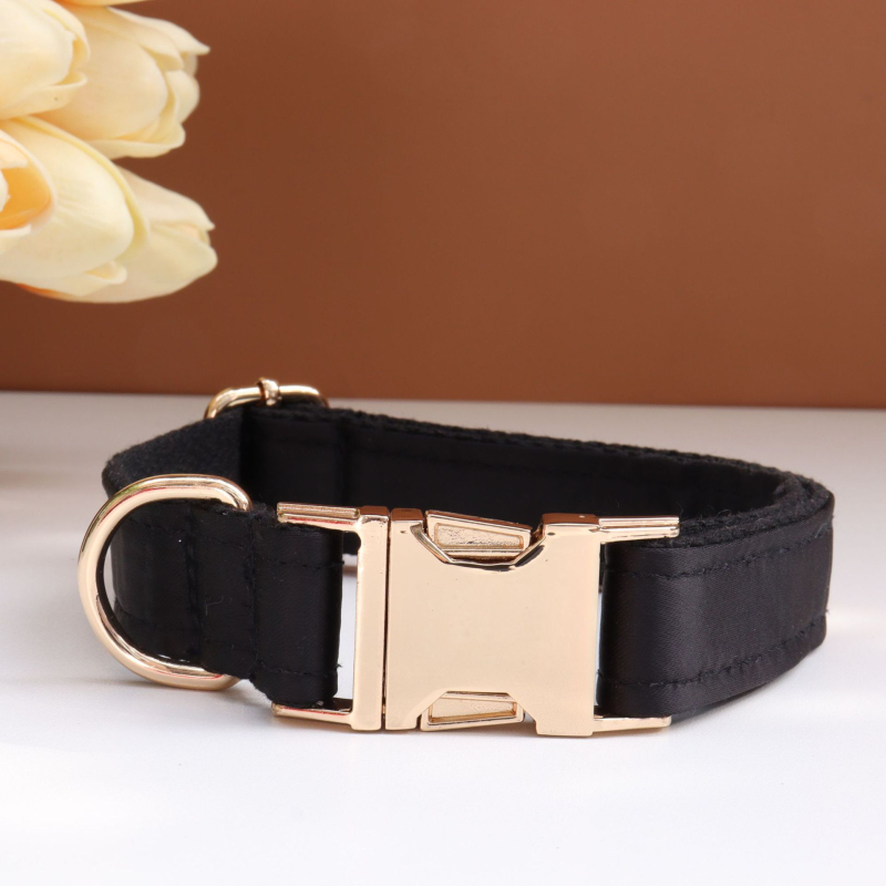 Каишка за кучета с панделка и повод — гравирана, против загуба, регулируема, полиестер, монохромен модел