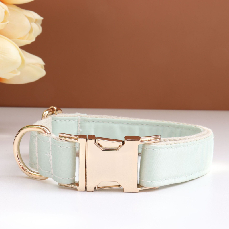 Каишка за кучета с панделка и повод — гравирана, против загуба, регулируема, полиестер, монохромен модел