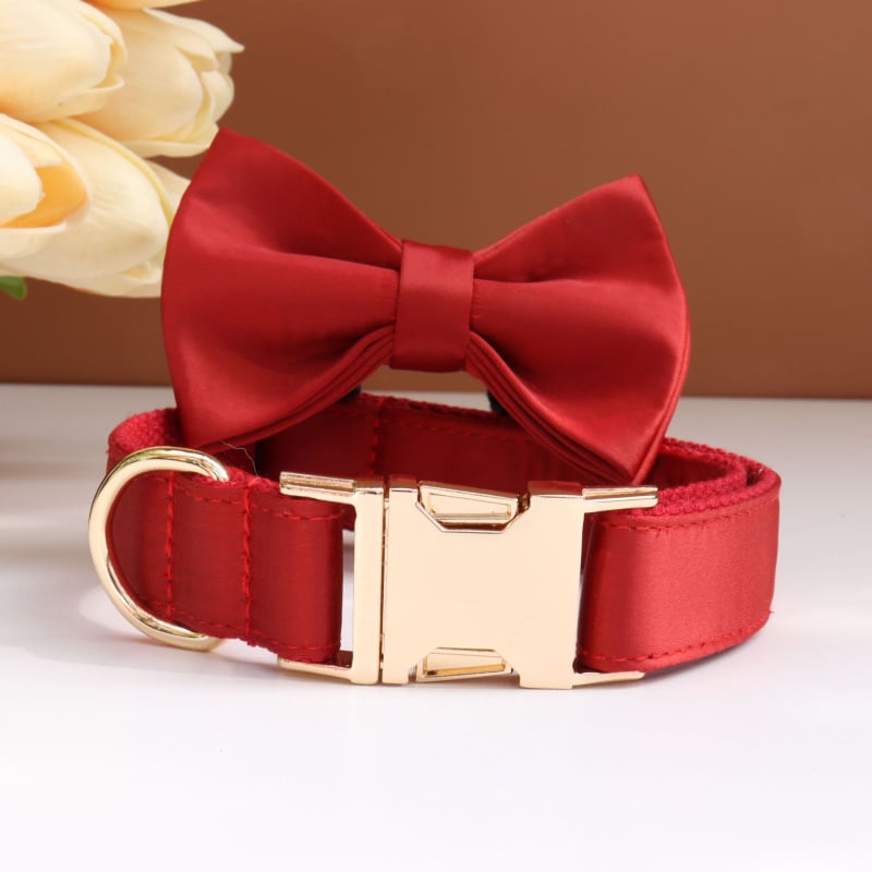 Каишка за кучета с панделка и повод — гравирана, против загуба, регулируема, полиестер, монохромен модел