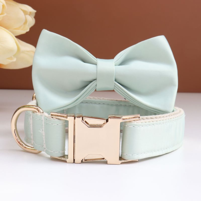 Каишка за кучета с панделка и повод — гравирана, против загуба, регулируема, полиестер, монохромен модел