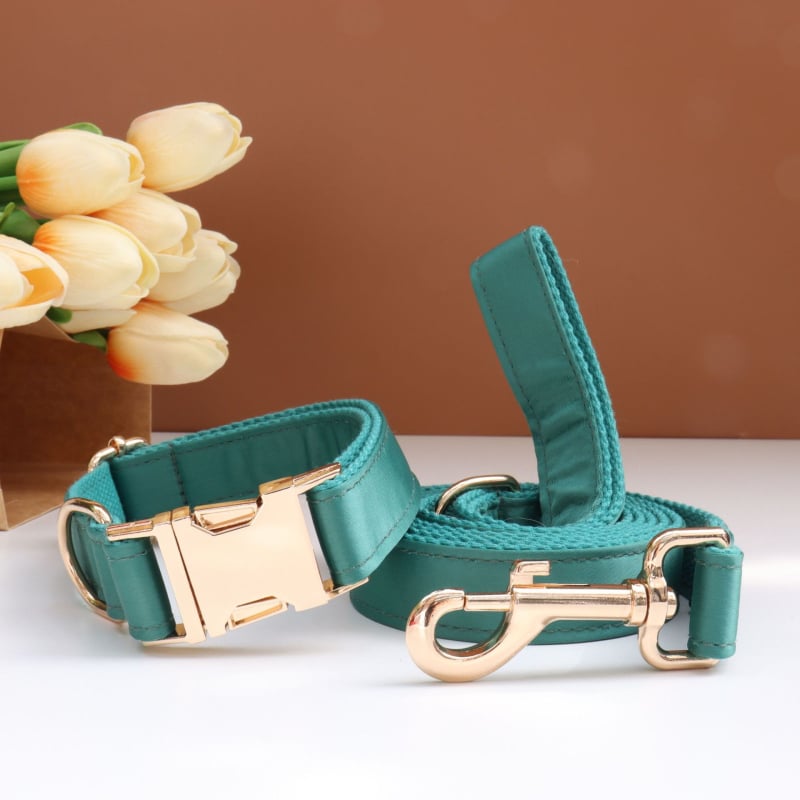 Каишка за кучета с панделка и повод — гравирана, против загуба, регулируема, полиестер, монохромен модел