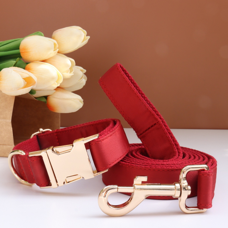 Каишка за кучета с панделка и повод — гравирана, против загуба, регулируема, полиестер, монохромен модел