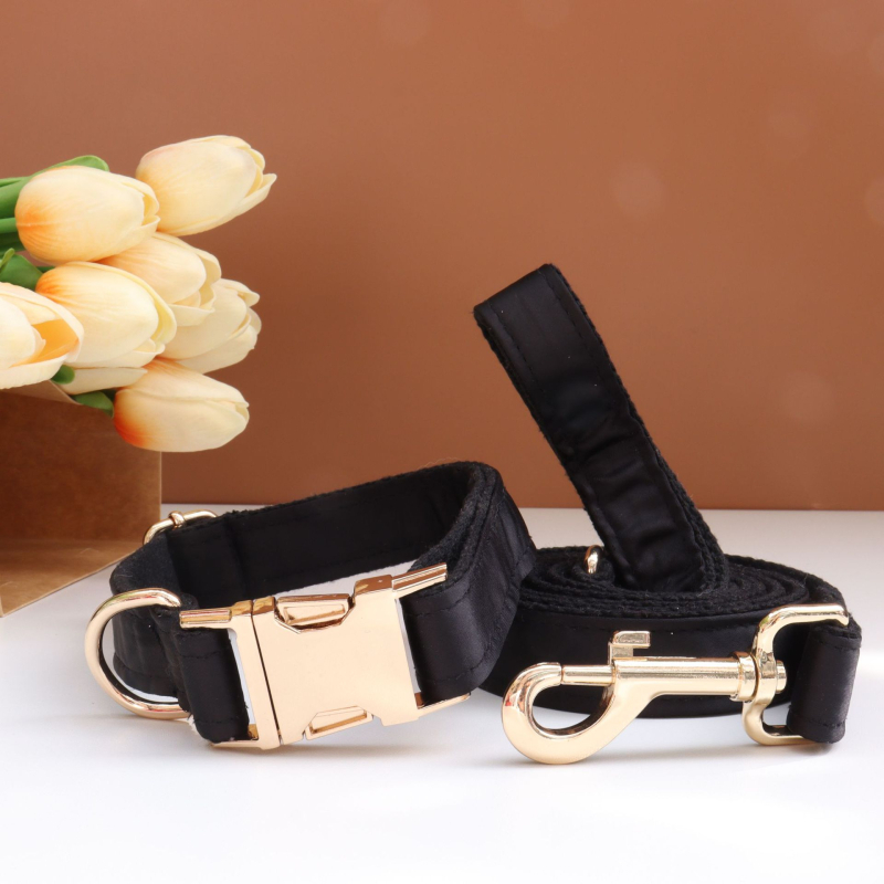 Каишка за кучета с панделка и повод — гравирана, против загуба, регулируема, полиестер, монохромен модел