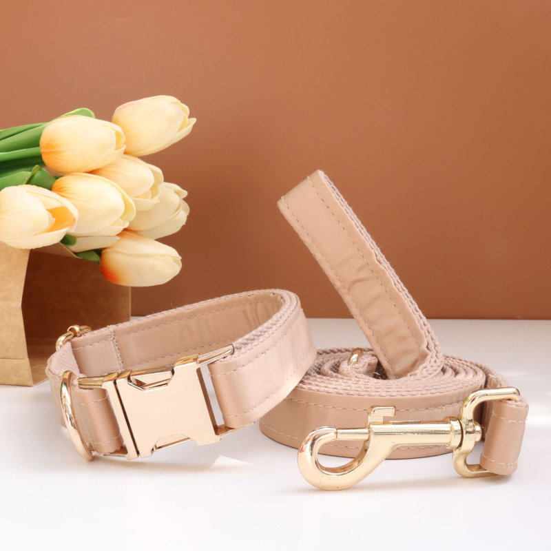 Каишка за кучета с панделка и повод — гравирана, против загуба, регулируема, полиестер, монохромен модел