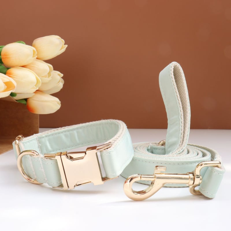 Каишка за кучета с панделка и повод — гравирана, против загуба, регулируема, полиестер, монохромен модел