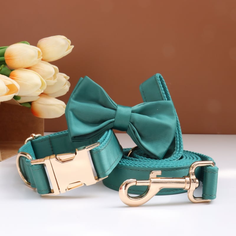 Каишка за кучета с панделка и повод — гравирана, против загуба, регулируема, полиестер, монохромен модел