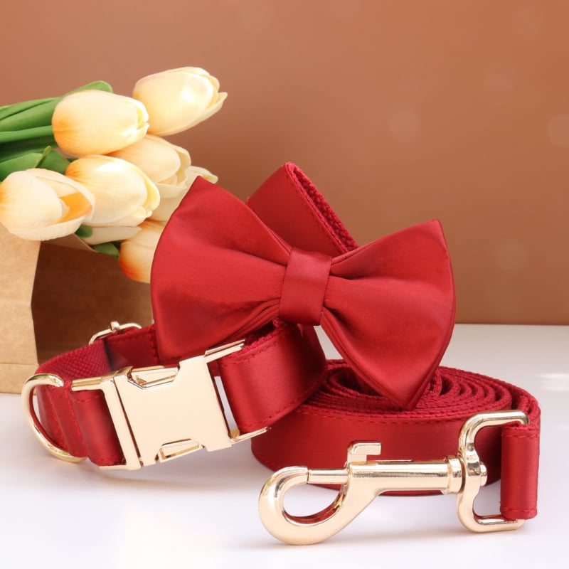 Каишка за кучета с панделка и повод — гравирана, против загуба, регулируема, полиестер, монохромен модел