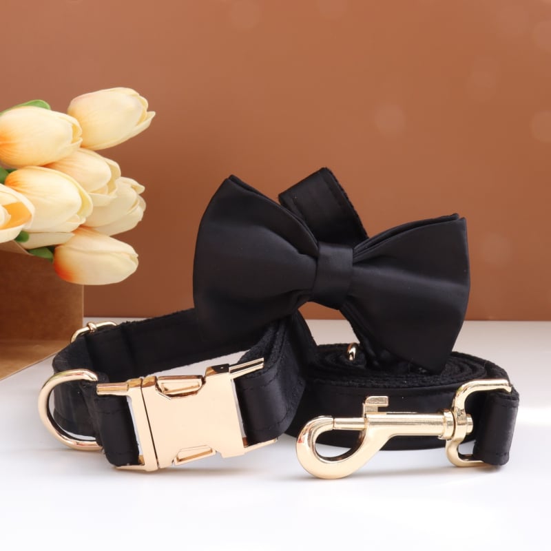 Каишка за кучета с панделка и повод — гравирана, против загуба, регулируема, полиестер, монохромен модел