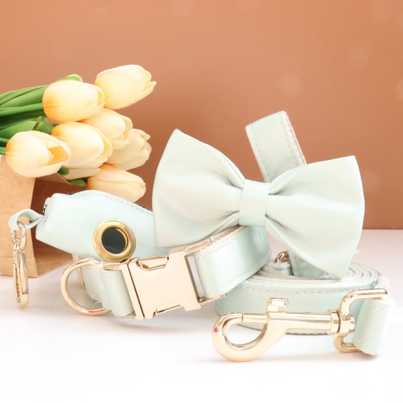 Каишка за кучета с панделка и повод — гравирана, против загуба, регулируема, полиестер, монохромен модел