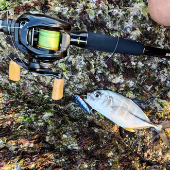 Polako potonući mamac s željeznom pločom, pernim udicama i olovnim teretom za slatkovodni ribolov