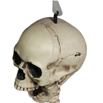 Helovīna telpas noformējuma rekvizīts – plastmasa, zīmols War horse, kategorija galvas skelets