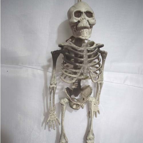 Helovīna telpas noformējuma rekvizīts – plastmasa, zīmols War horse, kategorija galvas skelets