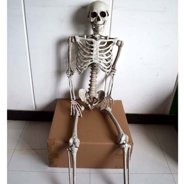 Helovīna telpas noformējuma rekvizīts – plastmasa, zīmols War horse, kategorija galvas skelets