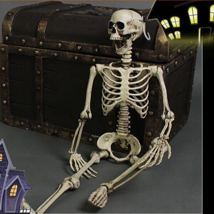 Helovīna telpas noformējuma rekvizīts – plastmasa, zīmols War horse, kategorija galvas skelets